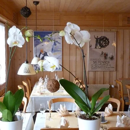 Gasthof Derby 3* Zweisimmen